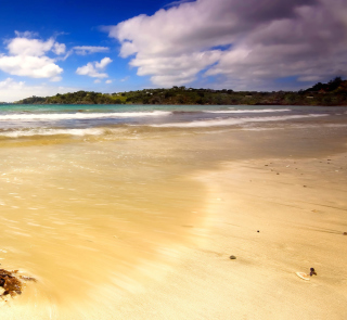 Kostenloses Mauritius Beach Wallpaper für 1024x1024