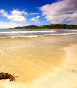 Mauritius Beach sfondi gratuiti per Blackberry RIM 9810 Torch