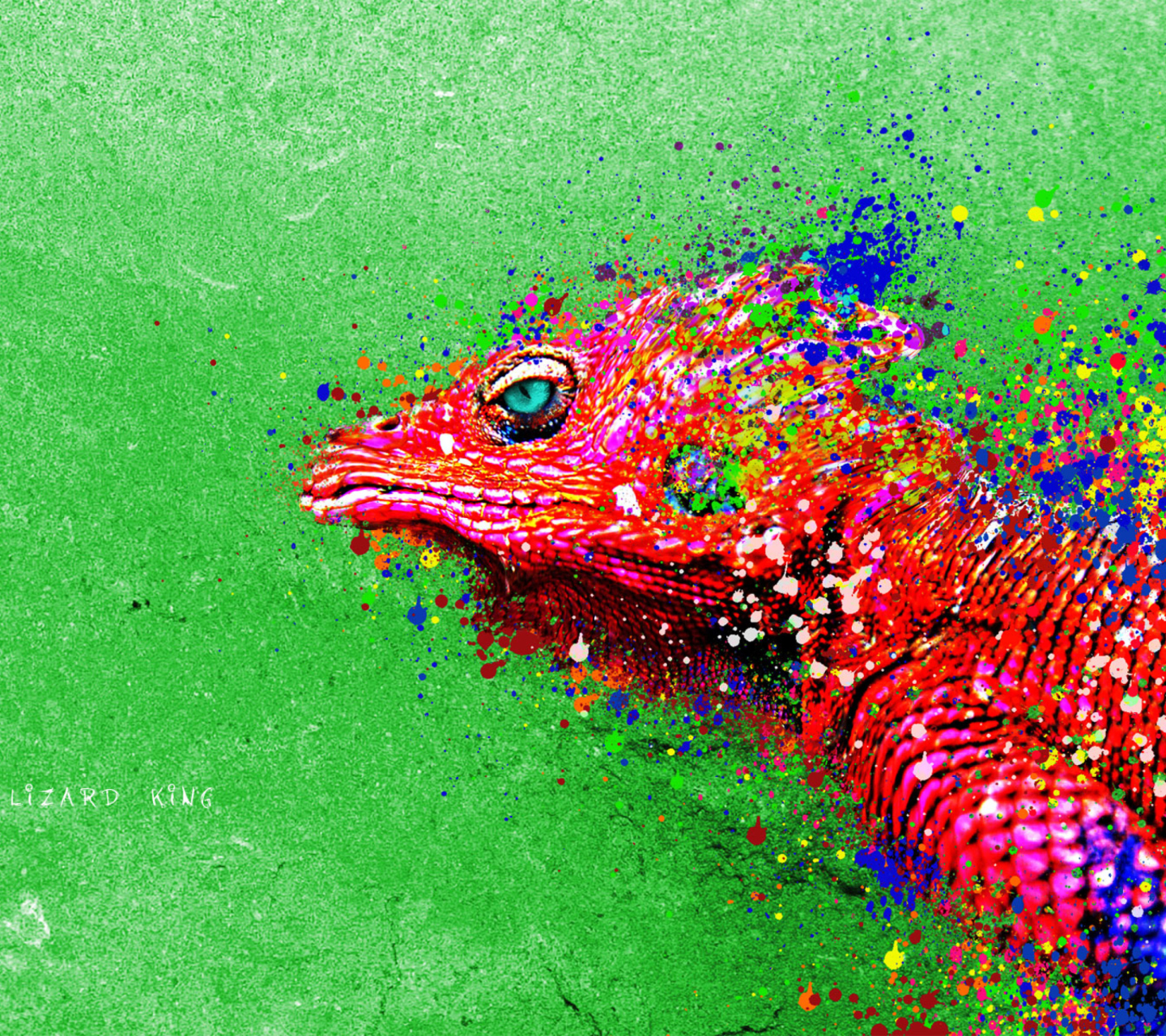 Sfondi Lizard King 1440x1280