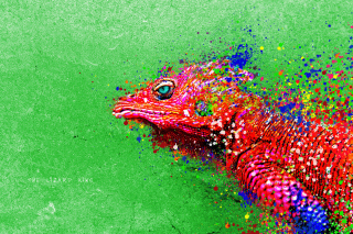 Free Lizard King Picture for Widescreen Desktop PC 1920x1080 Full HD