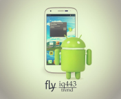 Fly Iq443 Trend Phone screenshot #1 176x144