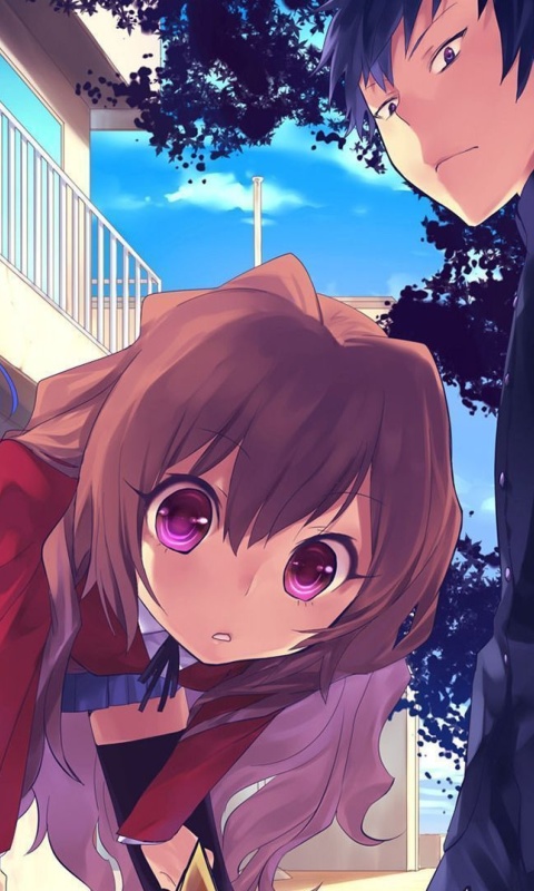 Sfondi Toradora Novel 480x800