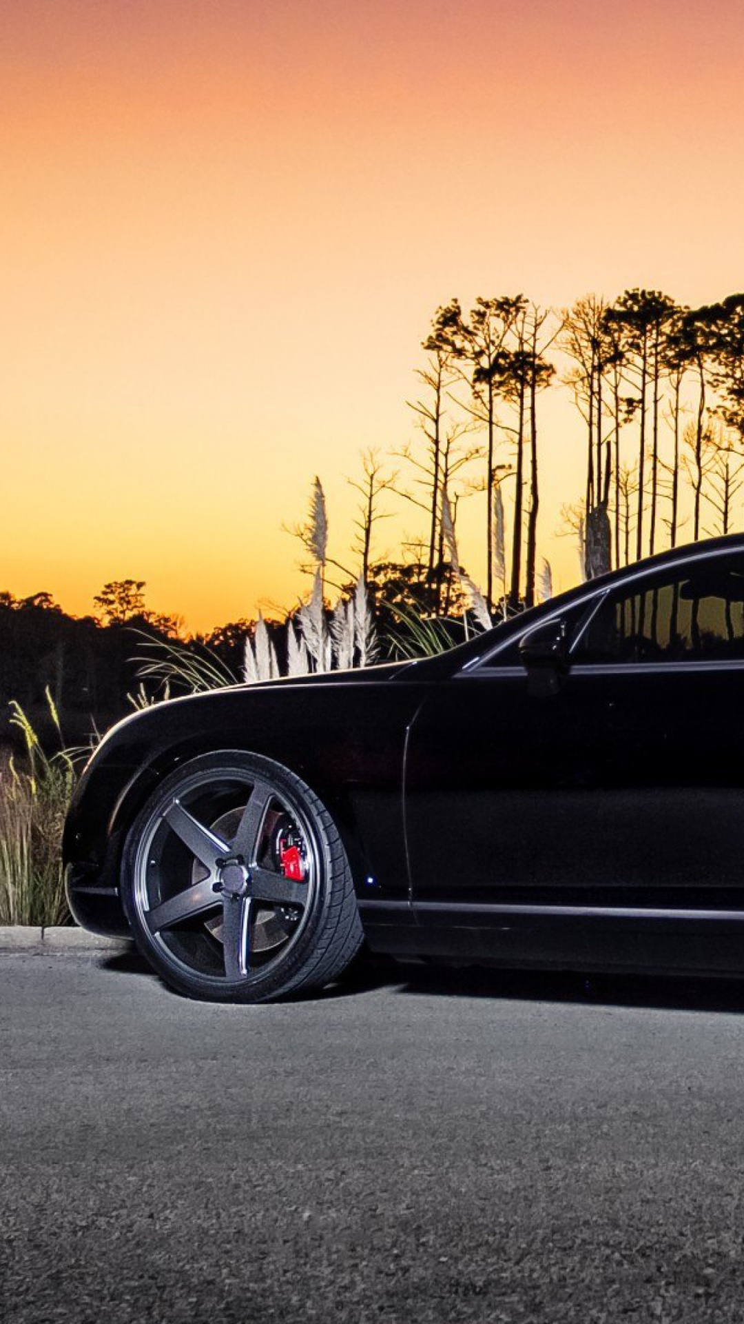 Fondo de pantalla Bentley Continental GT 1080x1920