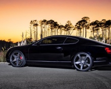 Fondo de pantalla Bentley Continental GT 220x176