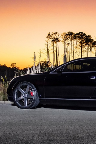 Bentley Continental GT screenshot #1 320x480