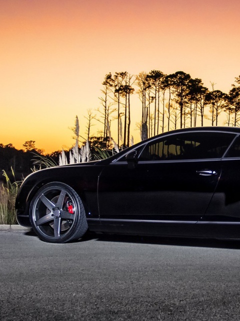 Bentley Continental GT screenshot #1 480x640