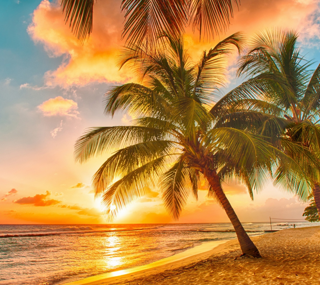 Das Tropical Paradise Beach Wallpaper 1080x960