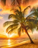 Das Tropical Paradise Beach Wallpaper 128x160