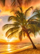 Sfondi Tropical Paradise Beach 132x176