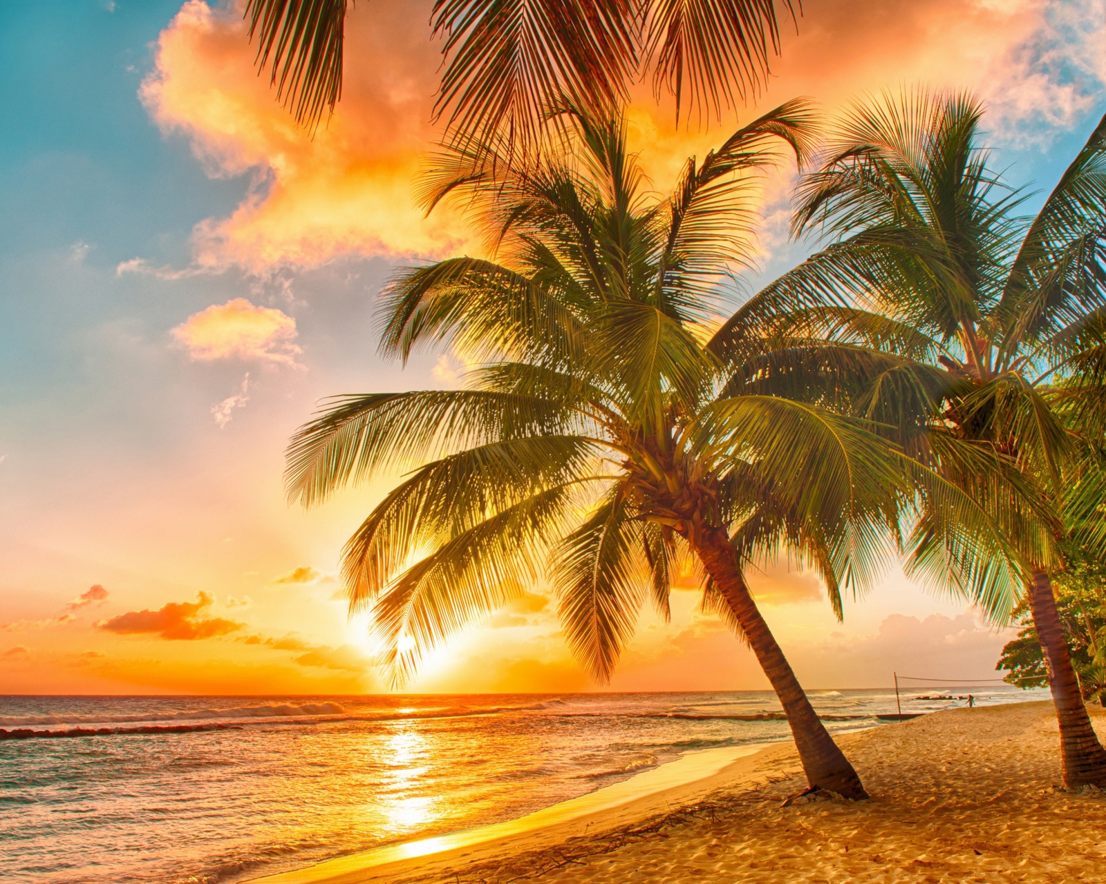 Tropical Paradise Beach screenshot #1 1600x1280