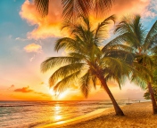Das Tropical Paradise Beach Wallpaper 176x144