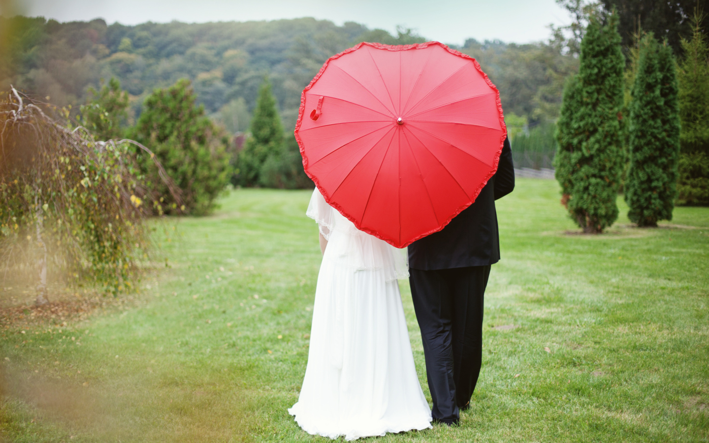 Das Just Married Couple Under Love Umbrella Wallpaper 1440x900