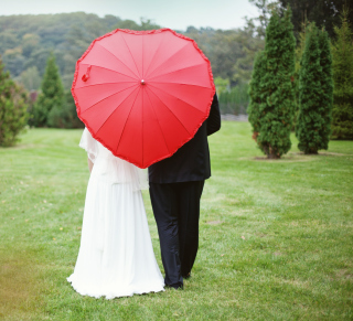 Just Married Couple Under Love Umbrella - Obrázkek zdarma pro iPad 2