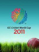 Sfondi 2011 Cricket World Cup 132x176
