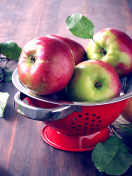 Fondo de pantalla Autumn apple harvest 132x176