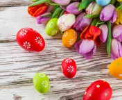 Sfondi Easter Tulips and Colorful Eggs 176x144
