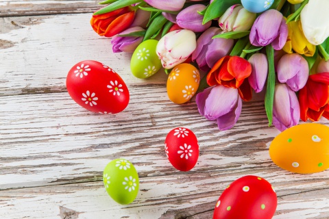 Обои Easter Tulips and Colorful Eggs 480x320
