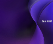 Samsung Netbook screenshot #1 176x144