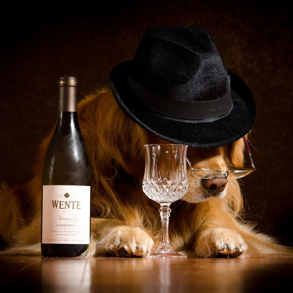 Das Wine and Dog Wallpaper 1024x1024