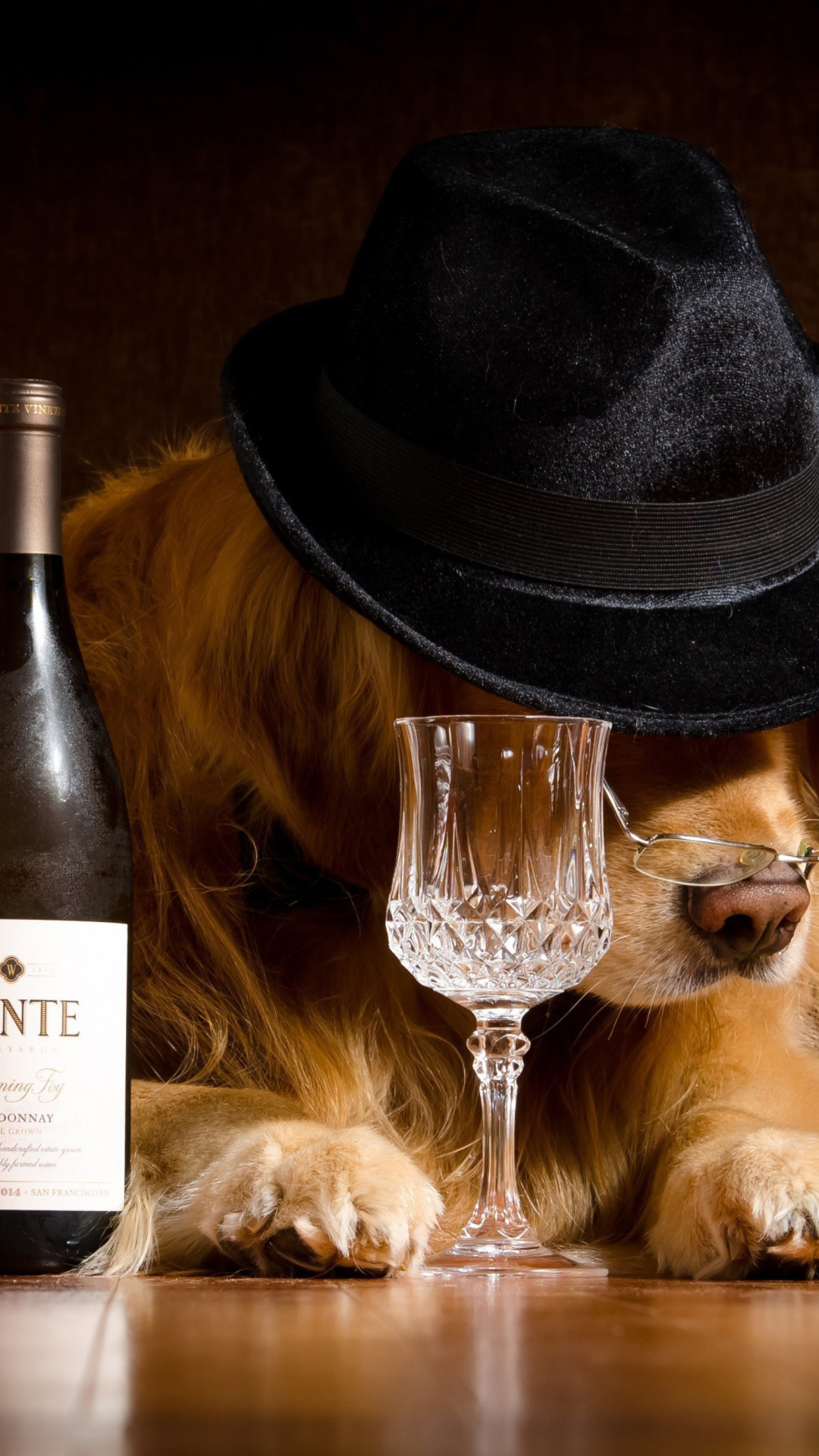 Обои Wine and Dog 1080x1920