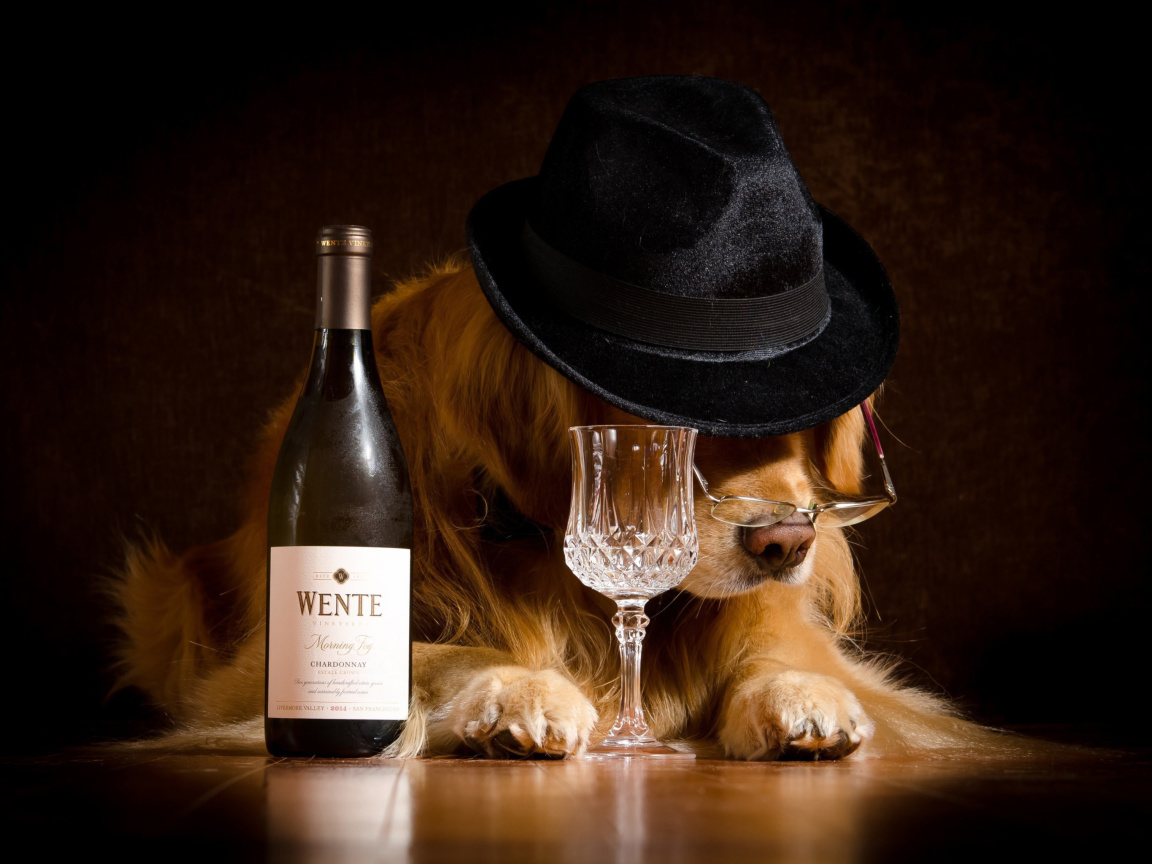 Обои Wine and Dog 1152x864