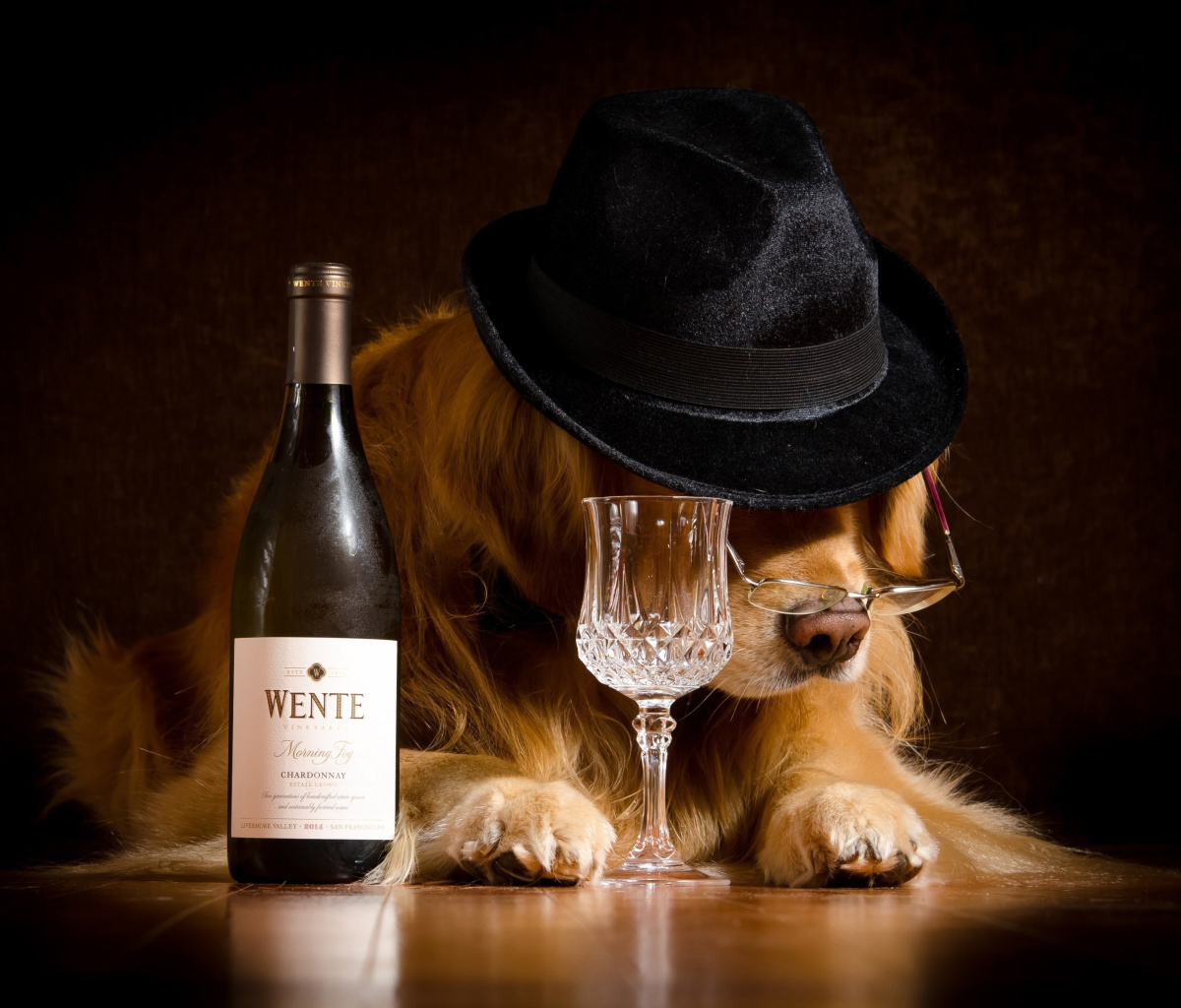 Обои Wine and Dog 1200x1024