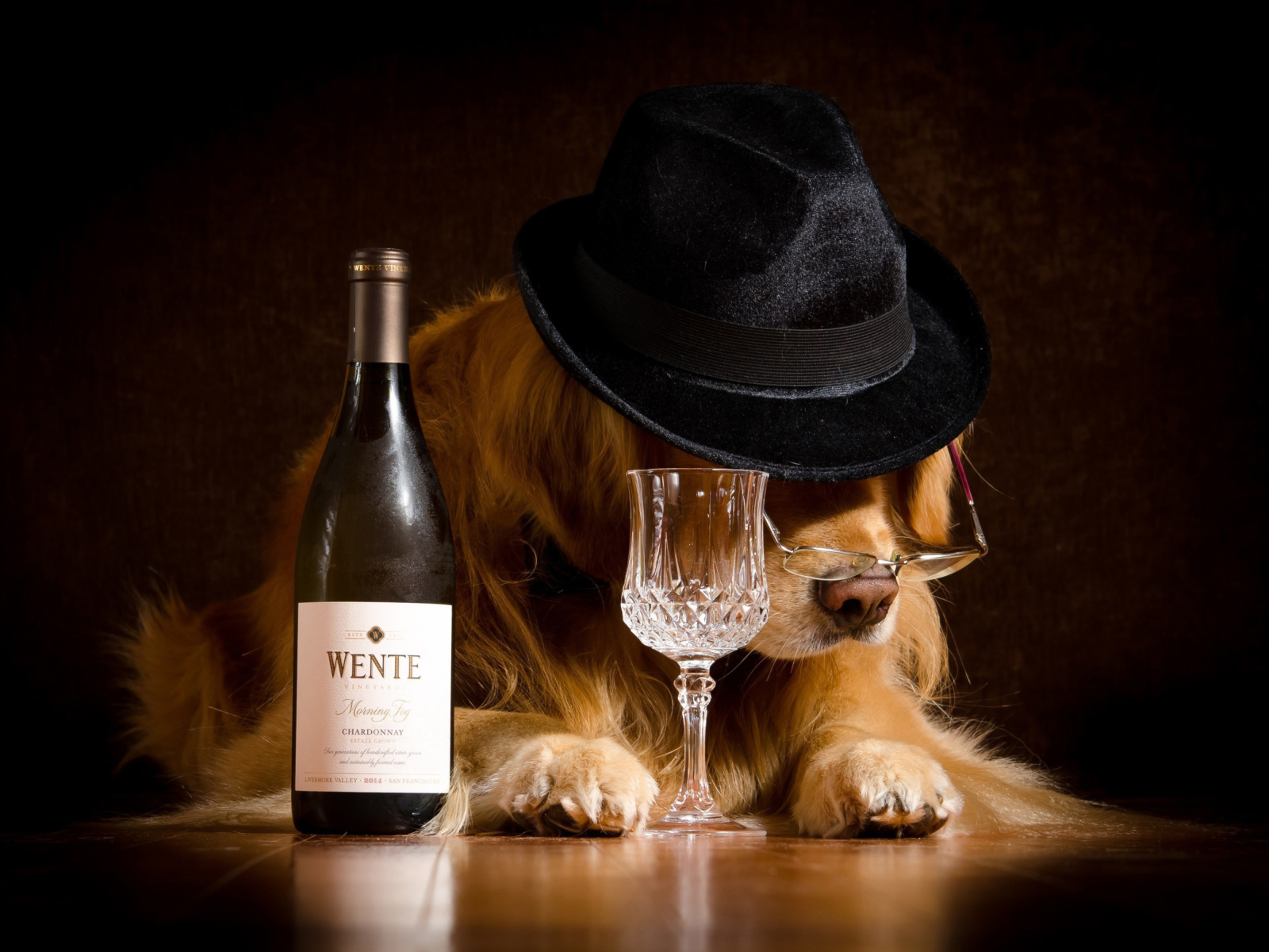 Обои Wine and Dog 1600x1200