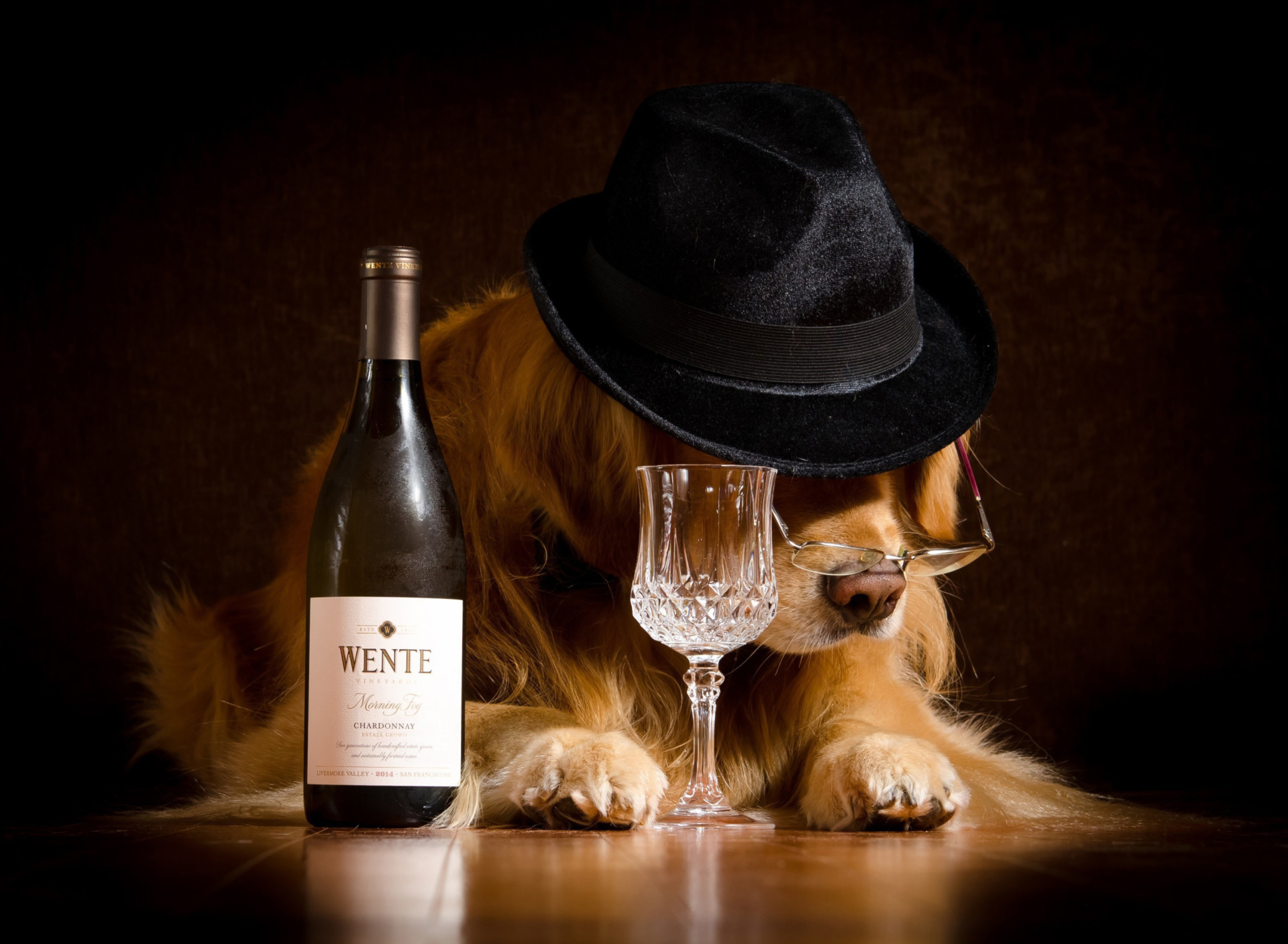 Обои Wine and Dog 1920x1408