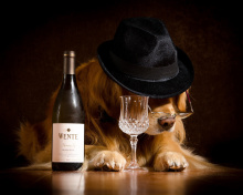Das Wine and Dog Wallpaper 220x176