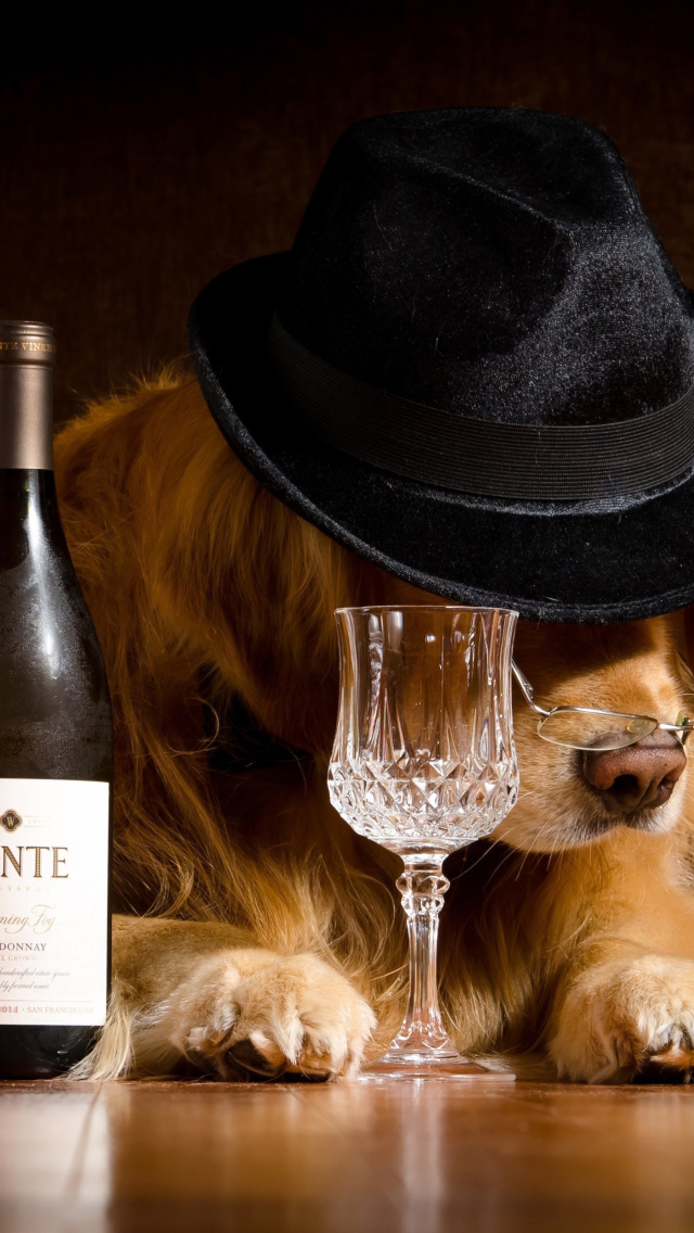 Fondo de pantalla Wine and Dog 640x1136
