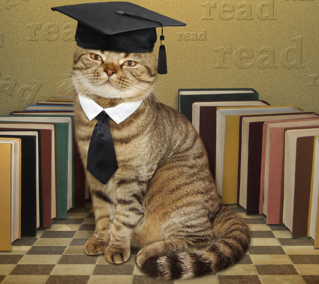 Das Clever cat with Books Wallpaper 1080x960