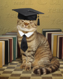 Screenshot №1 pro téma Clever cat with Books 128x160