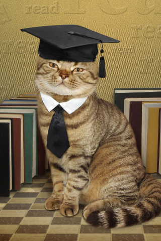 Das Clever cat with Books Wallpaper 320x480