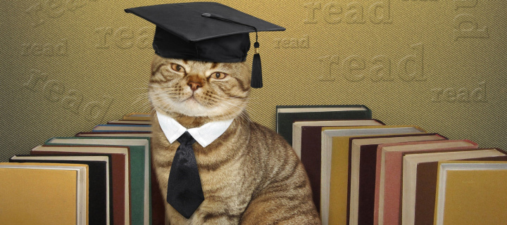 Screenshot №1 pro téma Clever cat with Books 720x320