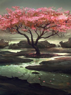 Das Blossom Tree Painting Wallpaper 240x320