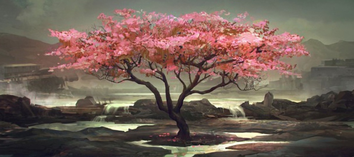 Fondo de pantalla Blossom Tree Painting 720x320