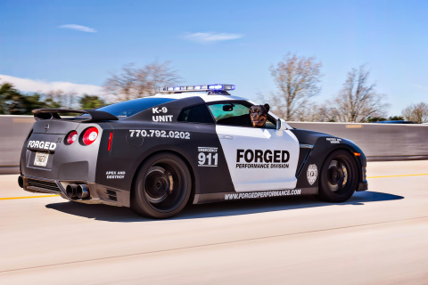 Обои Police Nissan GT-R 480x320