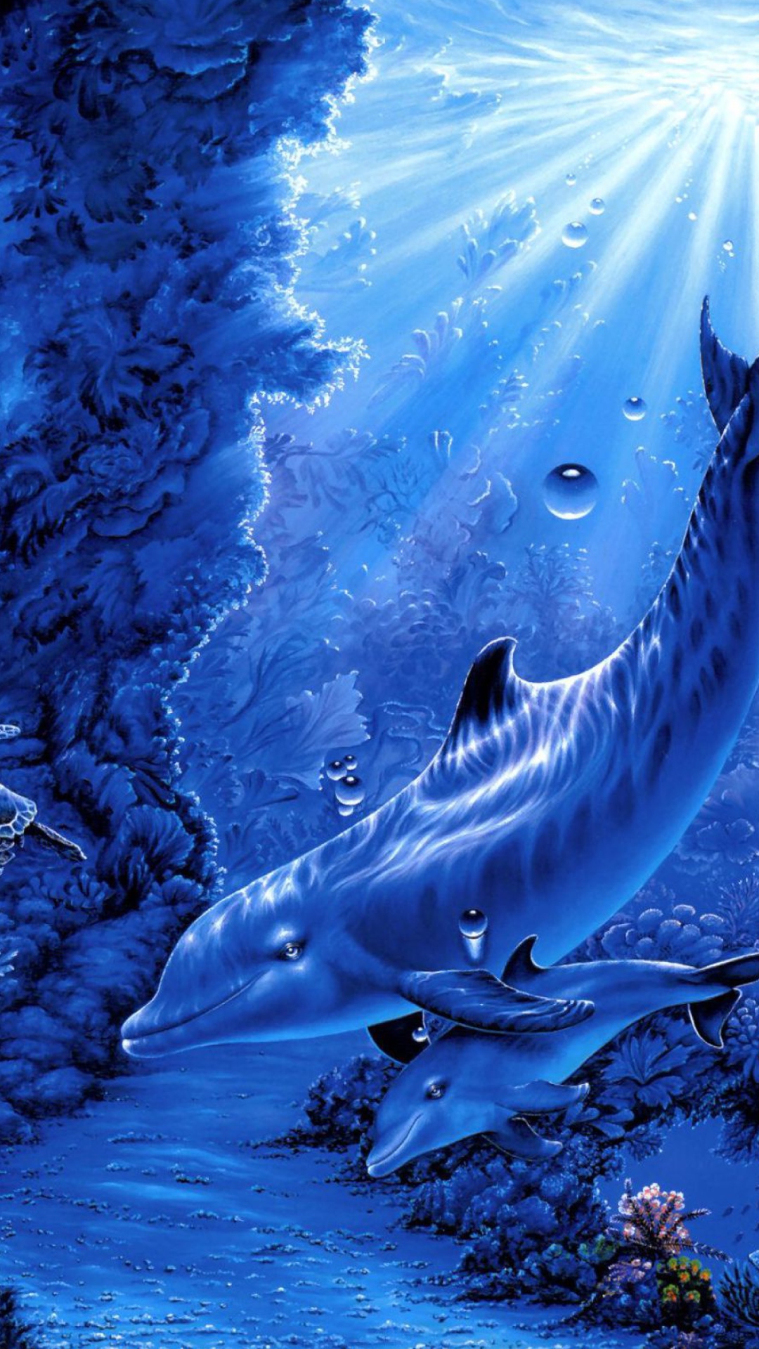 Живое море на телефон. Дельфины. Подводный мир дельфины. Красивые дельфины. Голубые дельфины.