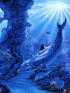 Das Dolphins Life Wallpaper 240x320