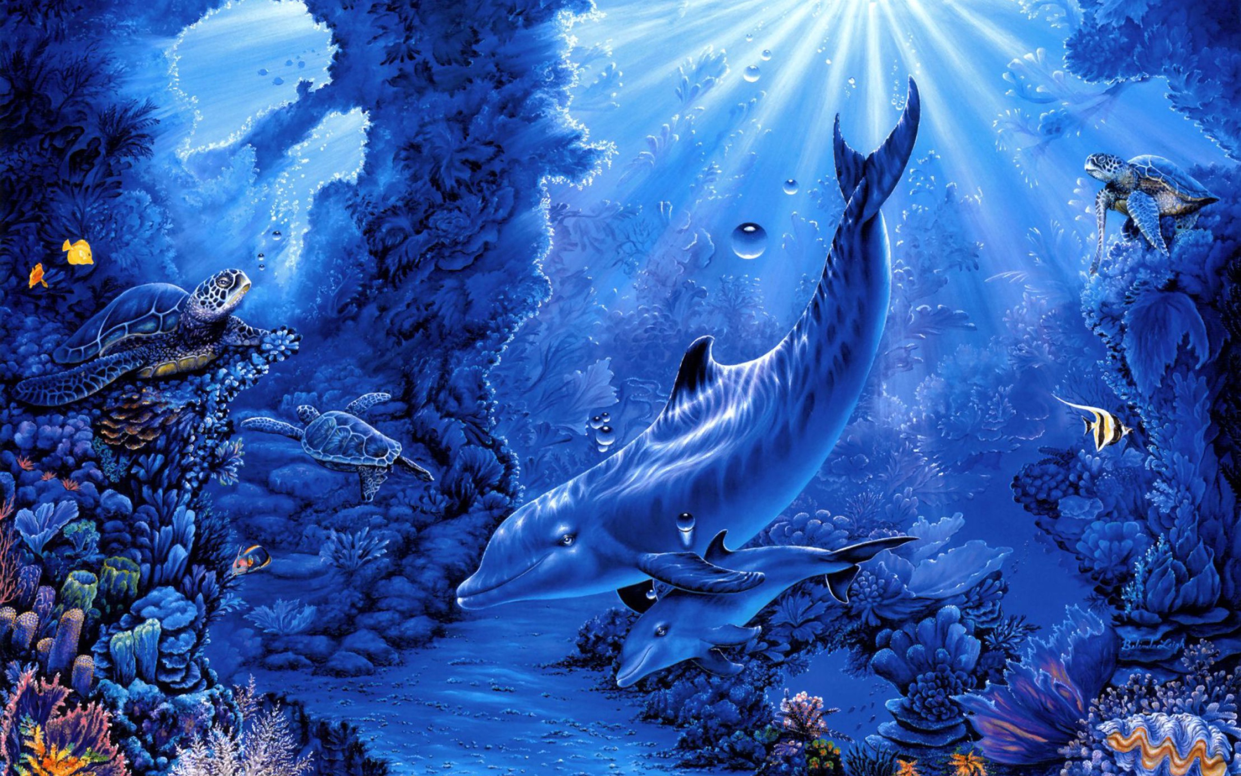 Fondo de pantalla Dolphins Life 2560x1600