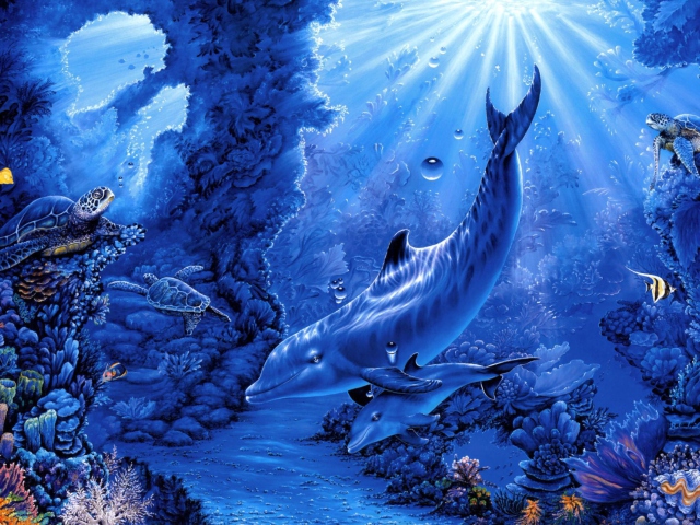 Dolphins Life wallpaper 640x480