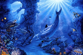 Dolphins Life - Obrázkek zdarma pro Samsung Galaxy S 4G