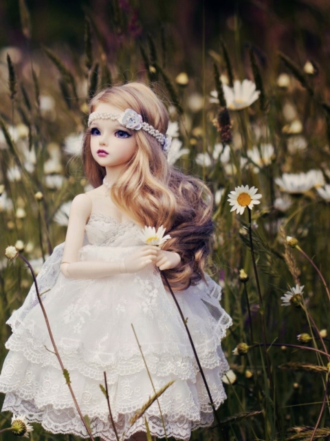 Beautiful Bride Doll wallpaper 480x640