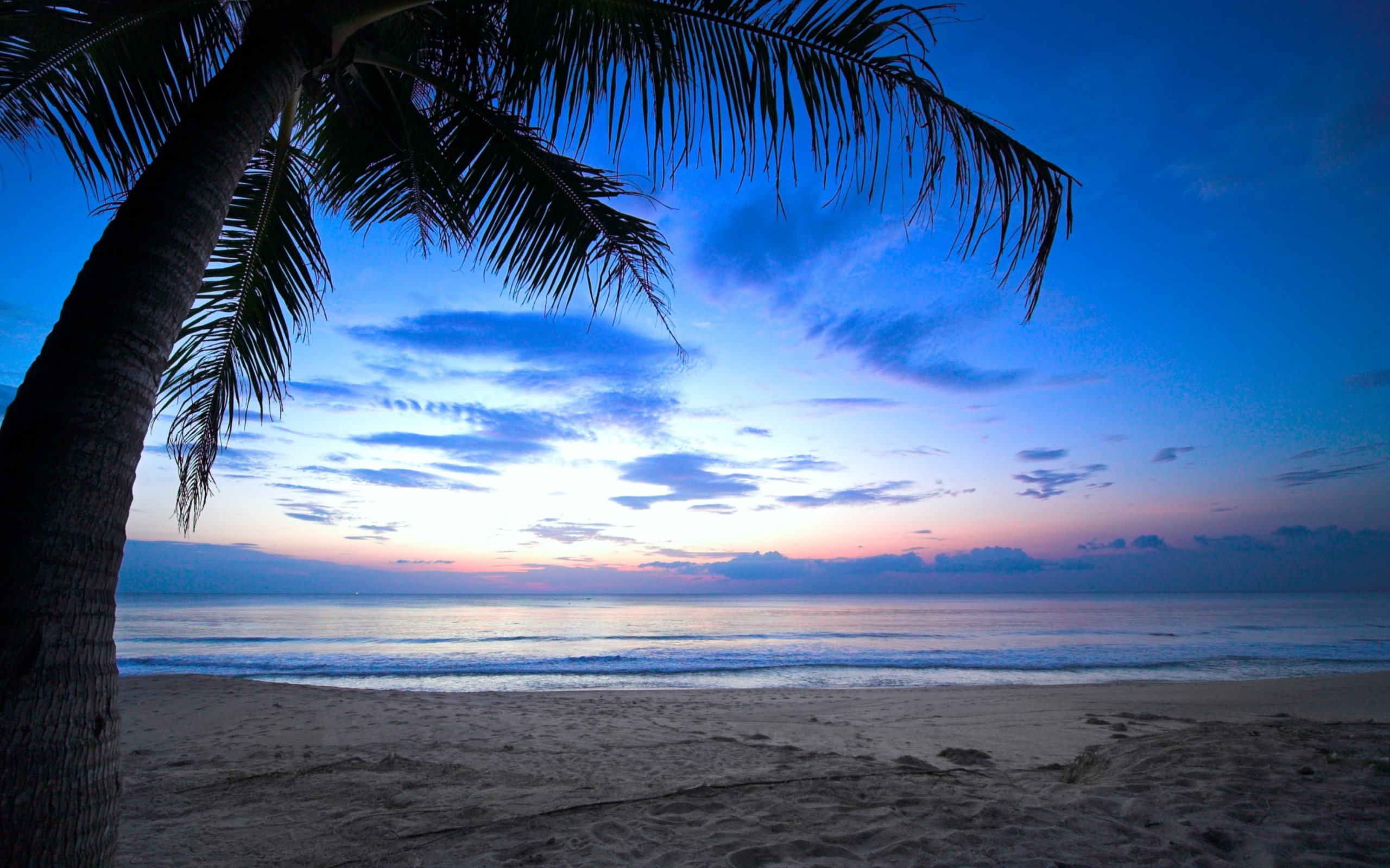 Fondo de pantalla Tropical Sunset 2560x1600