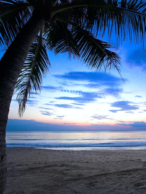 Tropical Sunset screenshot #1 480x640