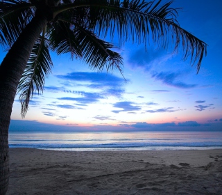 Tropical Sunset sfondi gratuiti per iPad