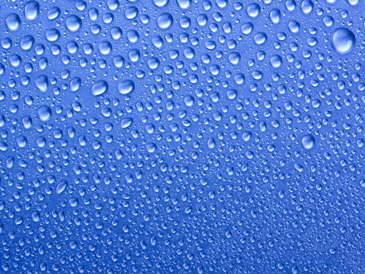 Screenshot №1 pro téma Water Drops On Blue Glass 1280x960