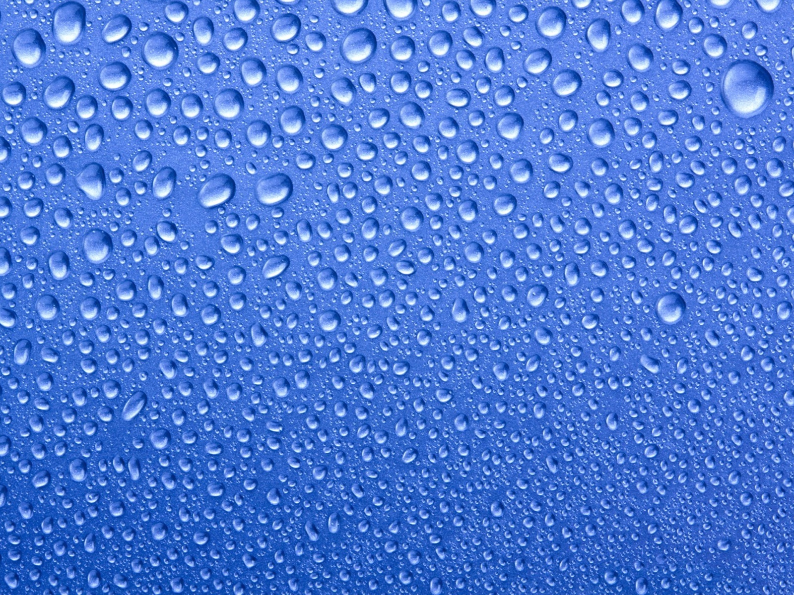 Sfondi Water Drops On Blue Glass 1600x1200