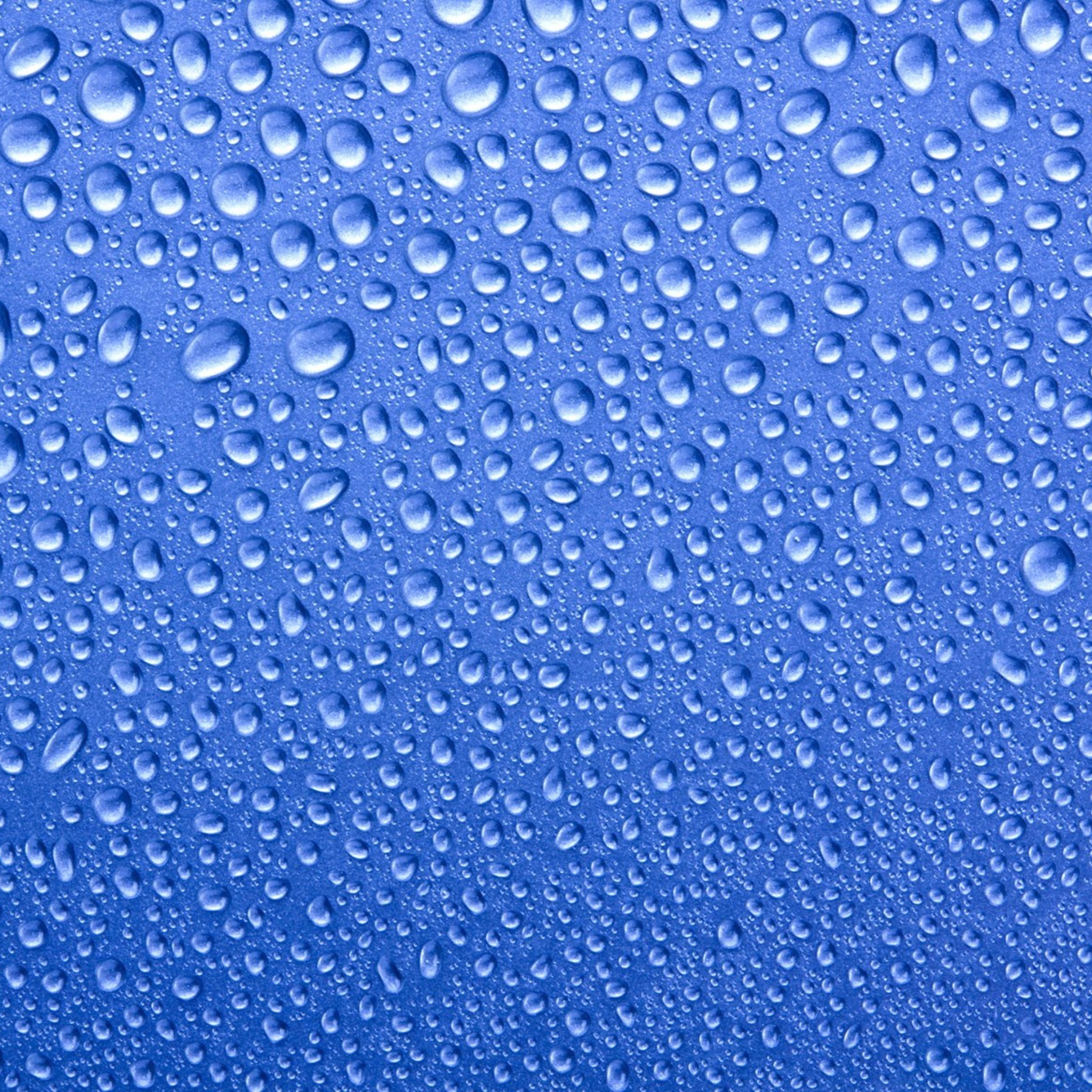 Обои Water Drops On Blue Glass 2048x2048