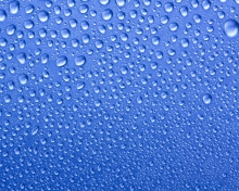 Обои Water Drops On Blue Glass 220x176